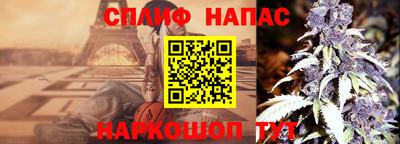сатива Беслан