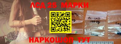 сатива Беслан